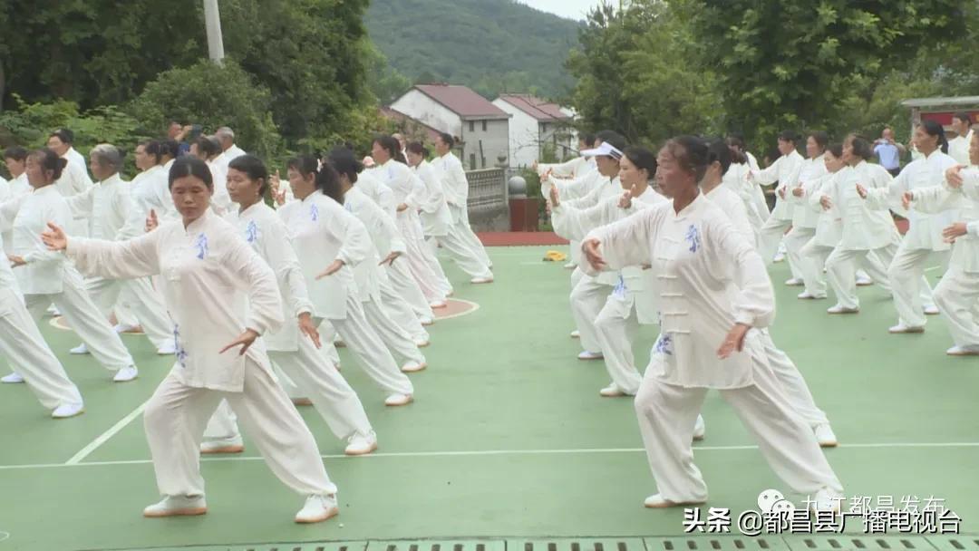 探寻内心宁静与平和之旅