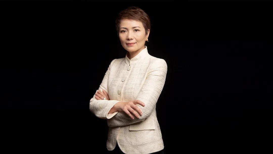 诺亚财富股票价格回顾与探析，深度分析市场动态与趋势预测