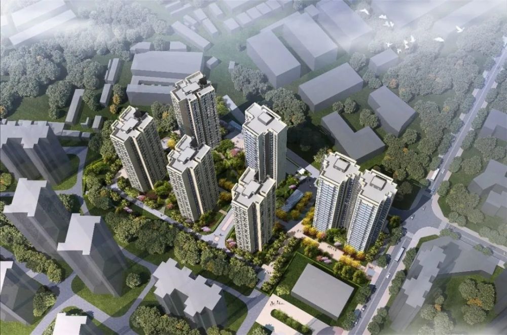 安置房资讯全解析，背景、进展与影响深度探讨