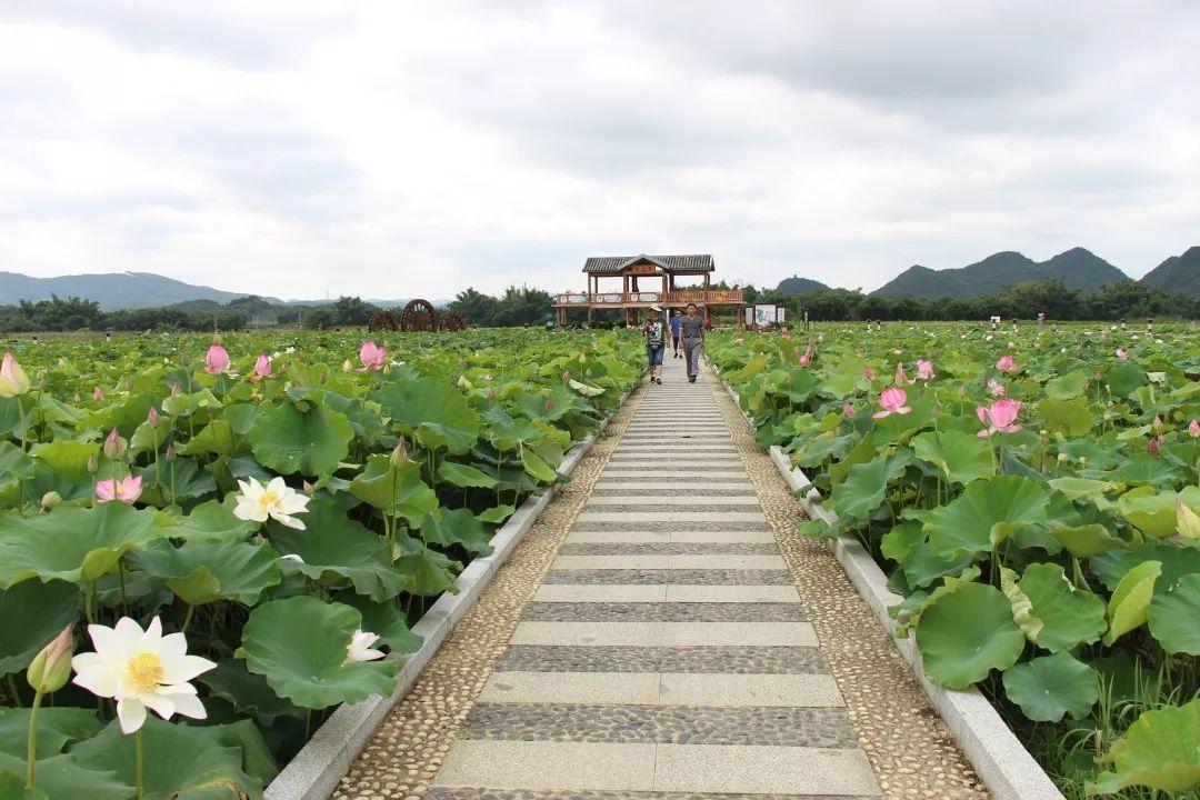 治愈之旅探索自然美景