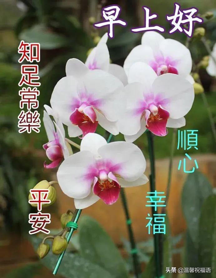 友情与爱的温馨日常，最新热门排行榜带你领略暖心瞬间