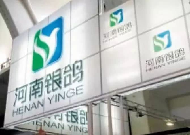 银鸽投资重组最新动态，与自然美景的邂逅之旅