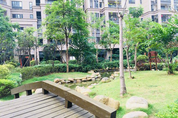 聚泰启程房价动态，自然美景与居住价值的完美融合之旅