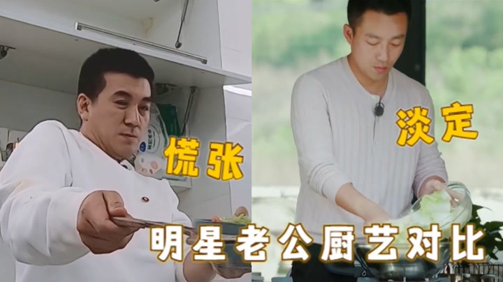 杨子最新动态揭秘，最新行程与近况更新