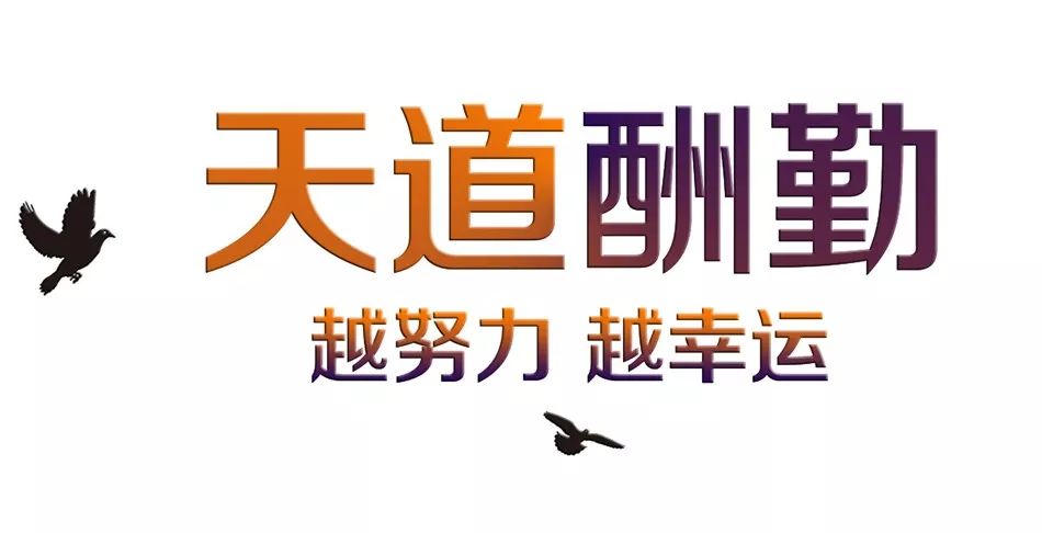 青岛汉德焊自动化 第263页