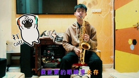 南征北战最新歌曲，旋律的变迁与自信成就感的交响盛宴
