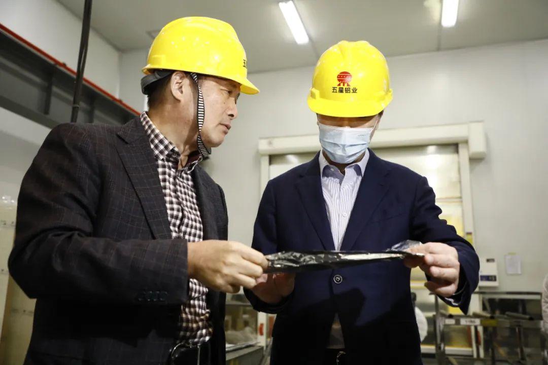鼎胜新材股票最新动态解析，如何获取并分析股票信息的重要性与策略