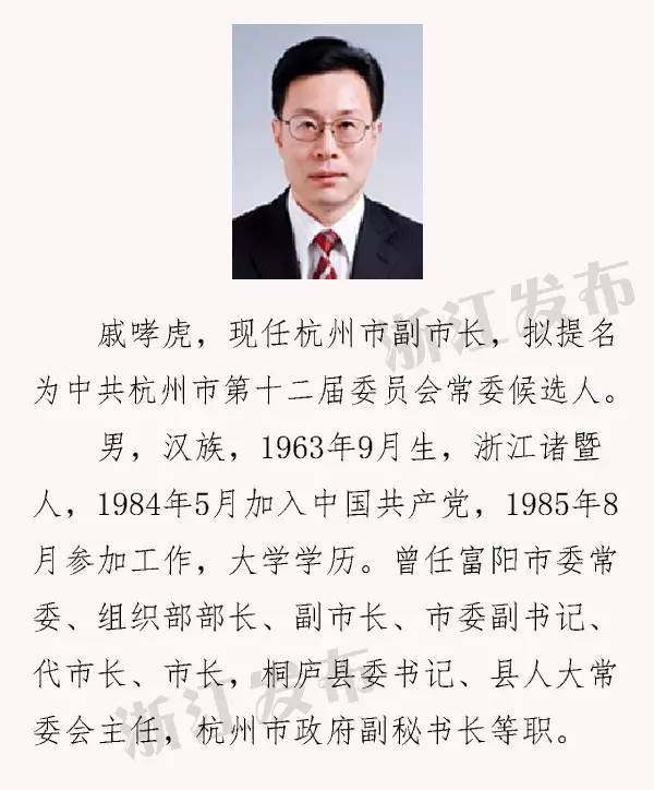浙江省最新干部任免动态揭晓，重磅更新探究新人事布局！