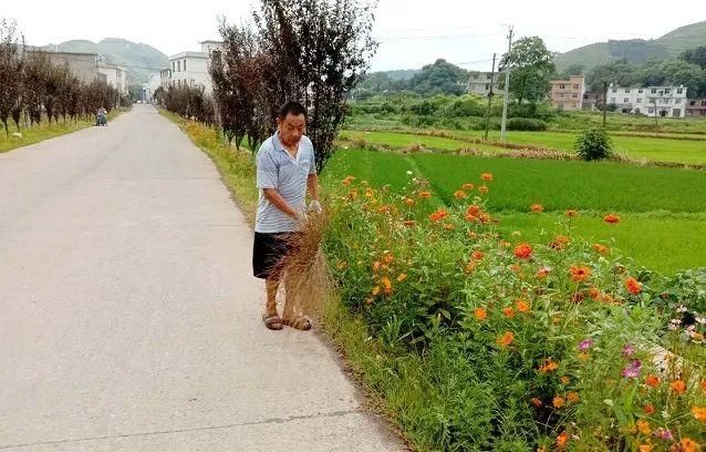 河源东源县城最新规划步骤指南及要点解析