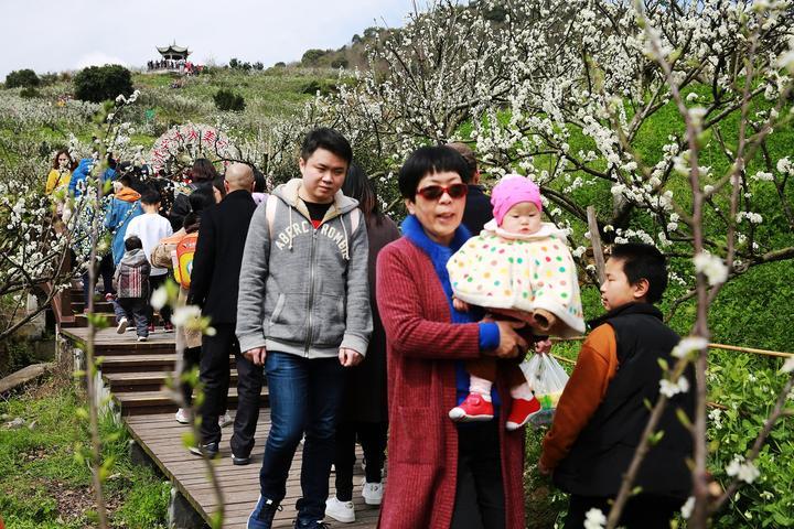 甬舟铁路最新路线图，连接未来的纽带，展现全新面貌