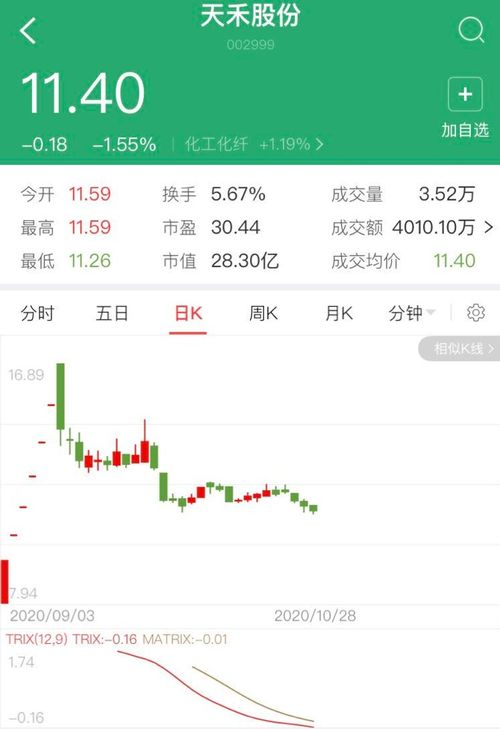 最新新股中签号公布，时代见证与市场的脉搏