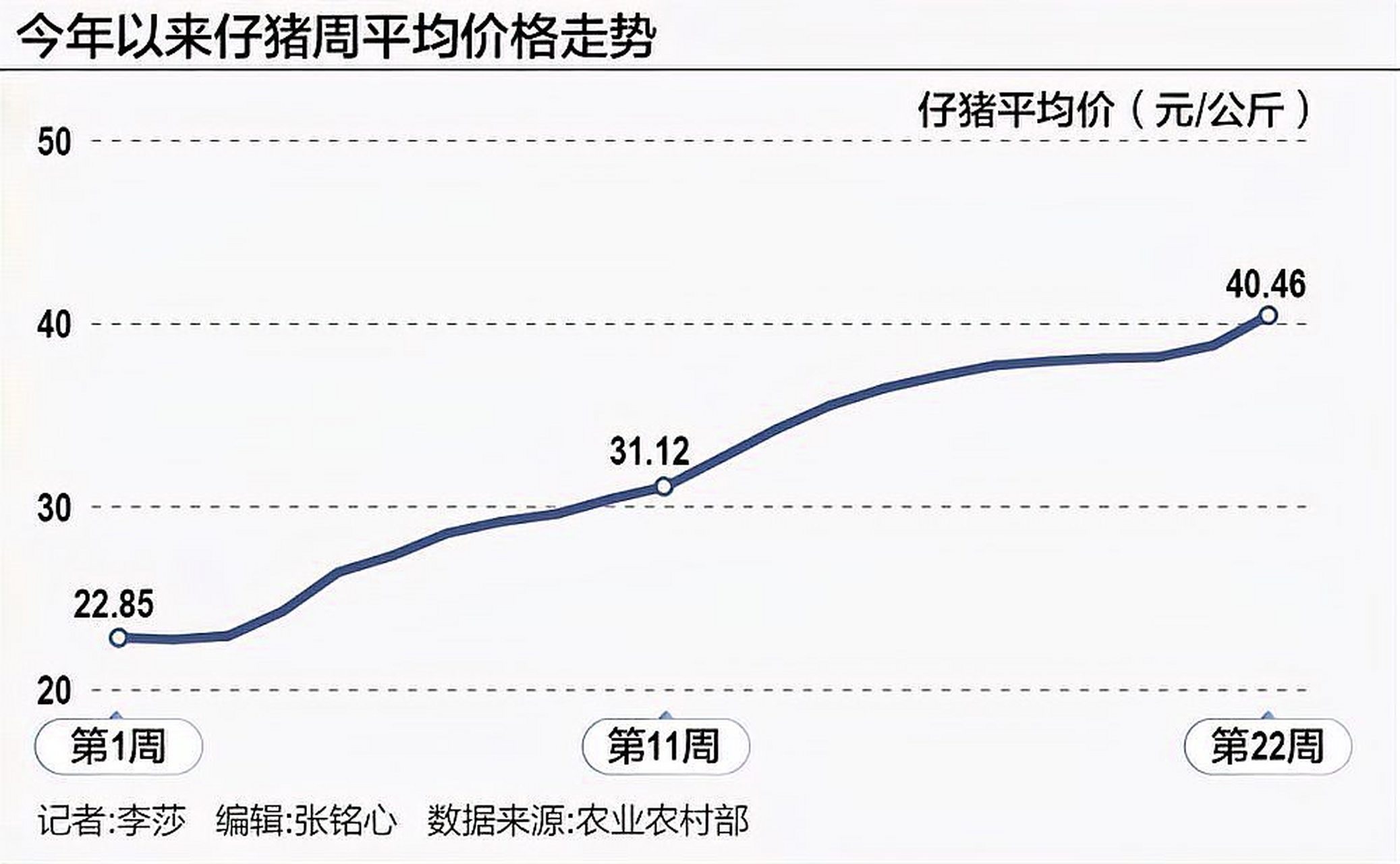 最新猪价交流详解与操作指南