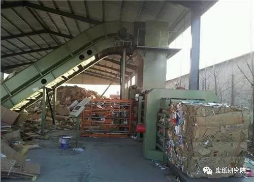 湖南废纸价格最新动态更新