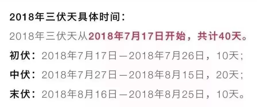 终极一班6最新消息全解析，获取步骤指南（适合初学者与进阶用户）