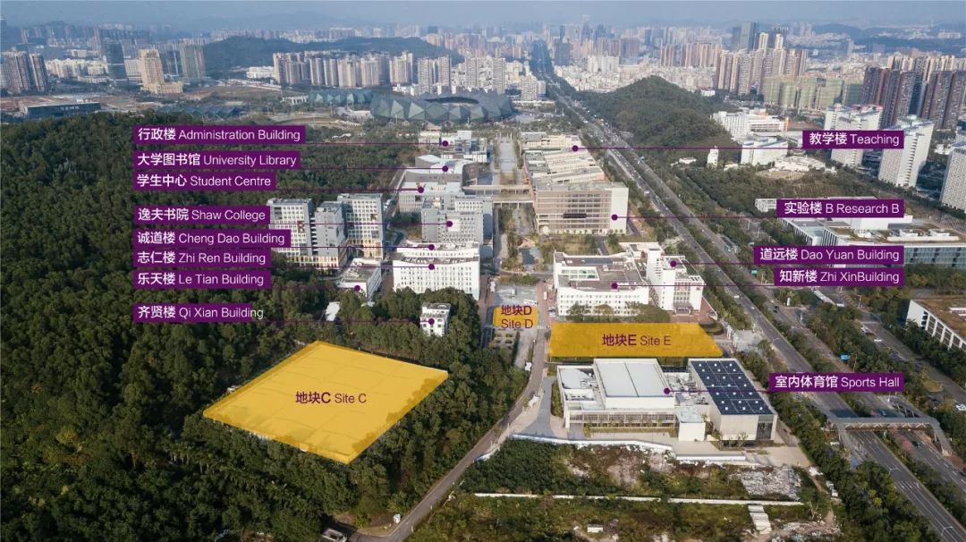 港中大深圳最新动态更新