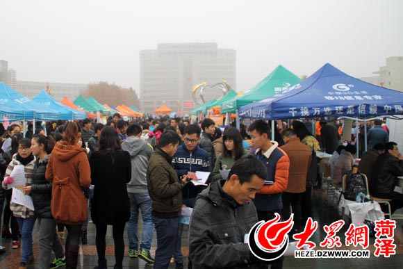 菏泽最新招聘会信息揭秘，小巷深处的职业机遇