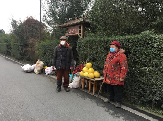 新都护士最新招聘信息揭秘，小巷特色小店中的职业机遇探索