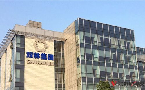 双林股份停牌最新消息,数据整合解析计划_预言版23.213