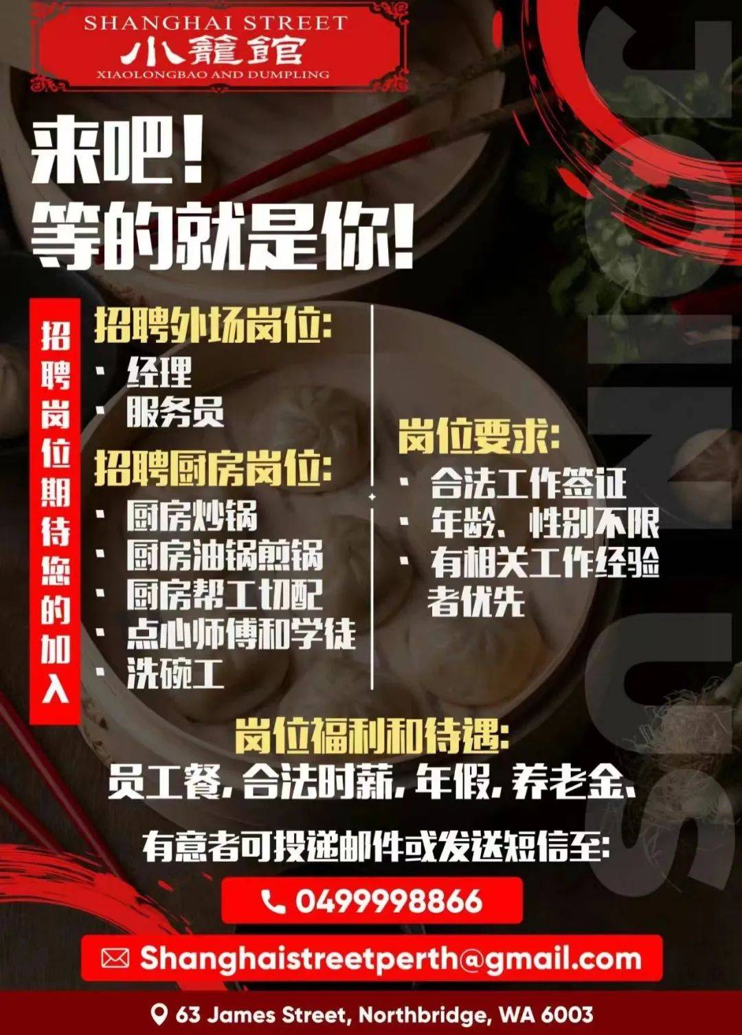 探索小巷秘境，发现隐藏职业宝藏，0453最新招聘信息网