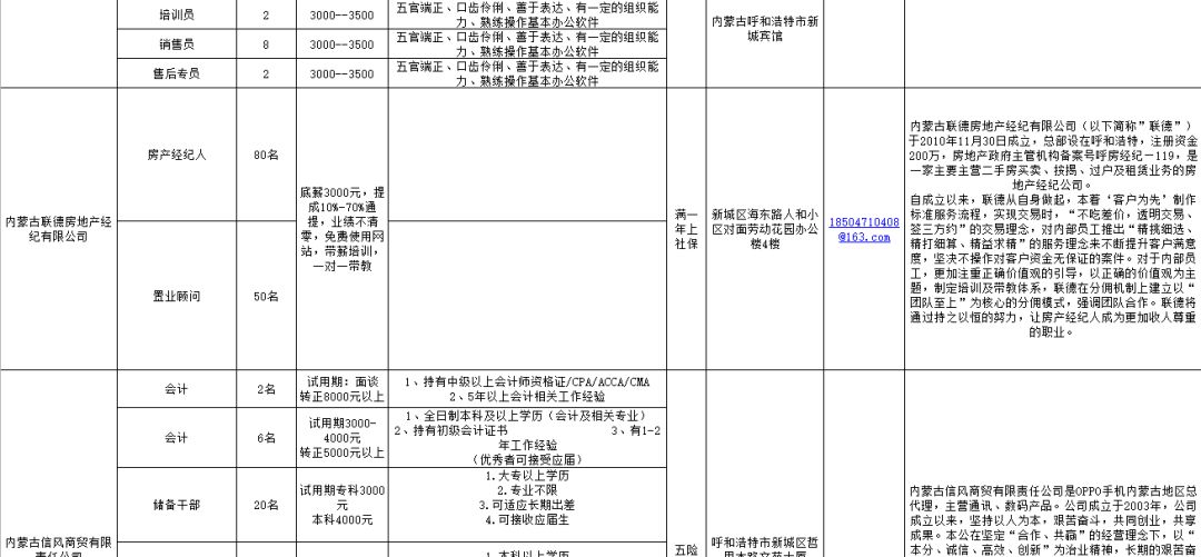 呼市人才网最新招聘信息揭秘，小巷特色小店成隐藏宝藏