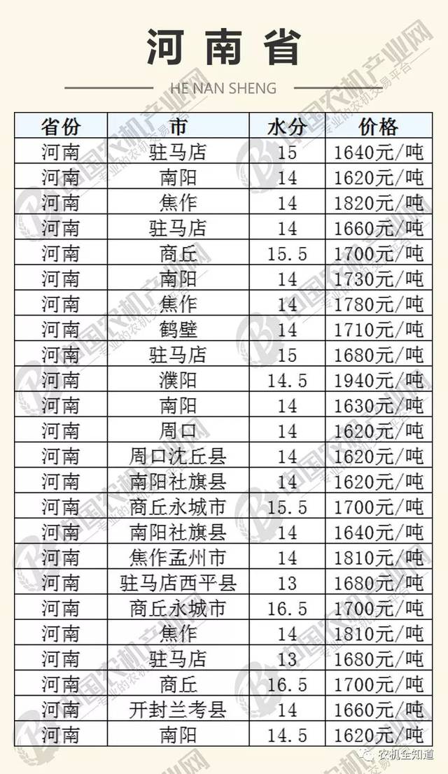 河南省玉米价格最新行情与老友记温情时光对比