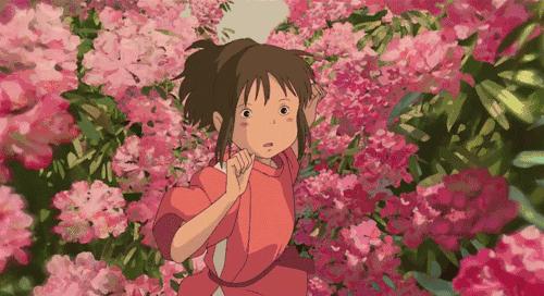 百万葵园最新门票价，启程探索自然美景的旅程