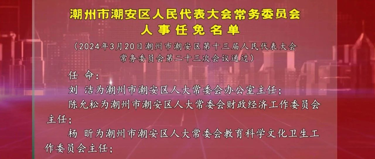 潮安区最新人事任免及其观点论述