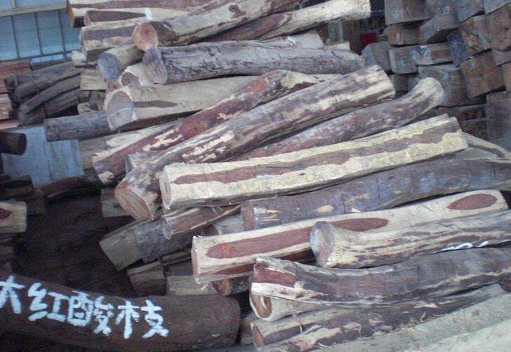 市场趋势与影响因素