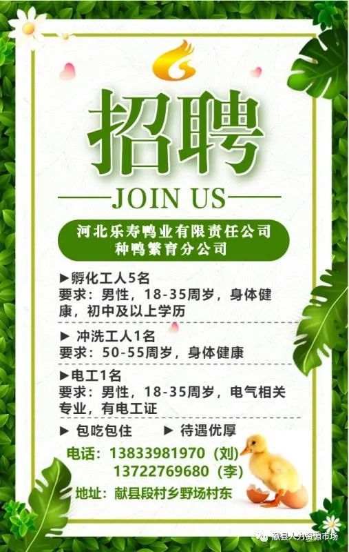 当阳招聘网最新招聘,当阳招聘网最新招聘，探索自然美景的旅行，启程寻找内心的平和之地