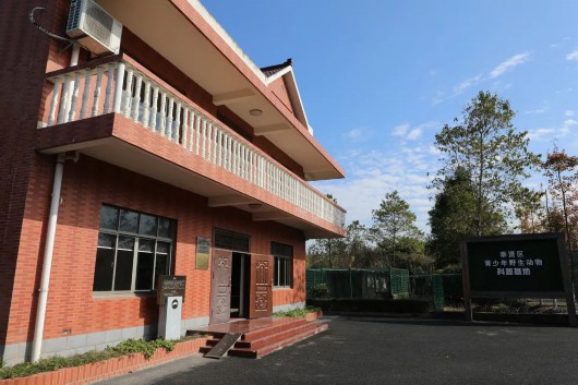 濮院房屋出租最新信息及自然美景探索之旅，寻找内心平静的旅程