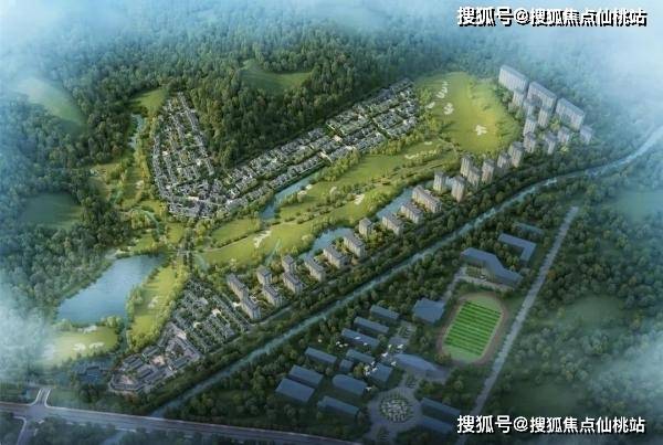苏宁环球最新动态解析，深度分析与个人观点分享