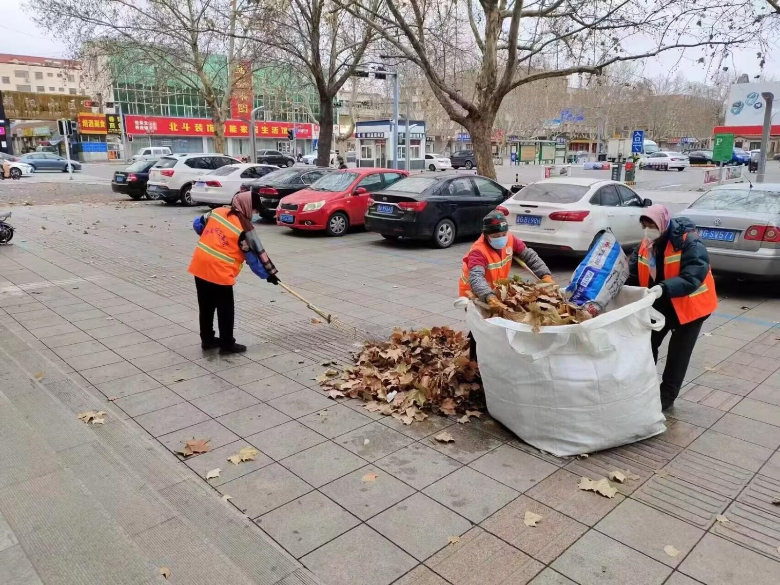 寿光最新天气，自然美景探索之旅，寻求内心宁静与平和