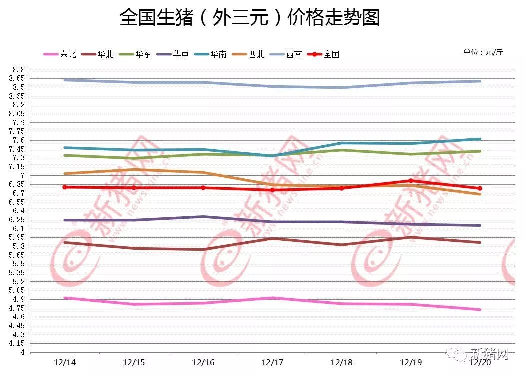 广东生猪市场深度解析，最新价格与市场动态关注指南！