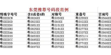 东莞最新车牌号段揭秘✨