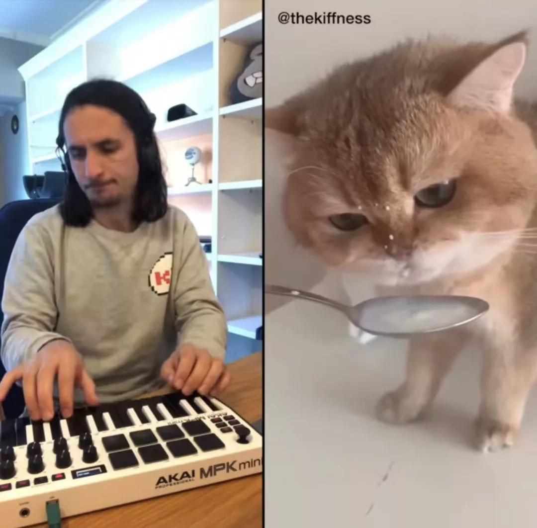 猫咪直播最新破解版，探寻小巷特色小店，猫咪盛宴不期而遇