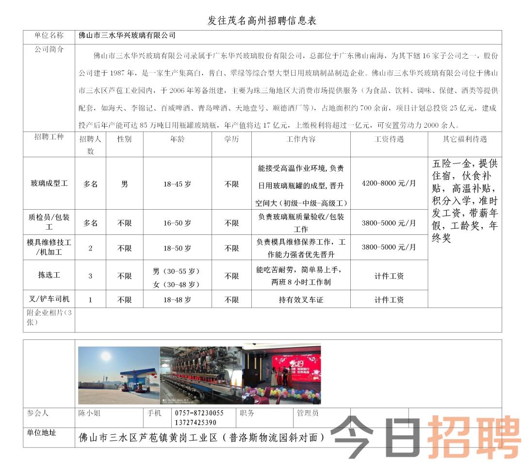 龙口市最新招聘信息全面概览