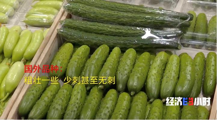 油亮黄瓜最新品种，种植、优势与未来展望