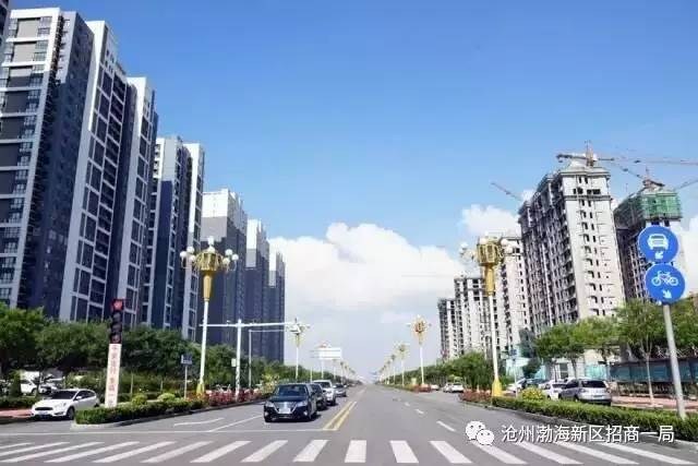沧州渤海新区，自然美景中的内心宁静乐园最新消息