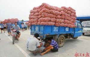 金乡冷库大蒜最新价格及小巷独特风味探秘