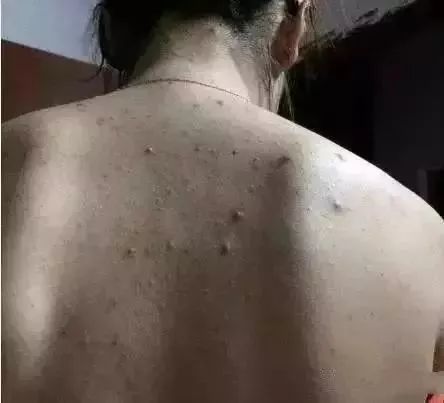 荣科科技公告揭秘，日常小故事中的温暖纽带