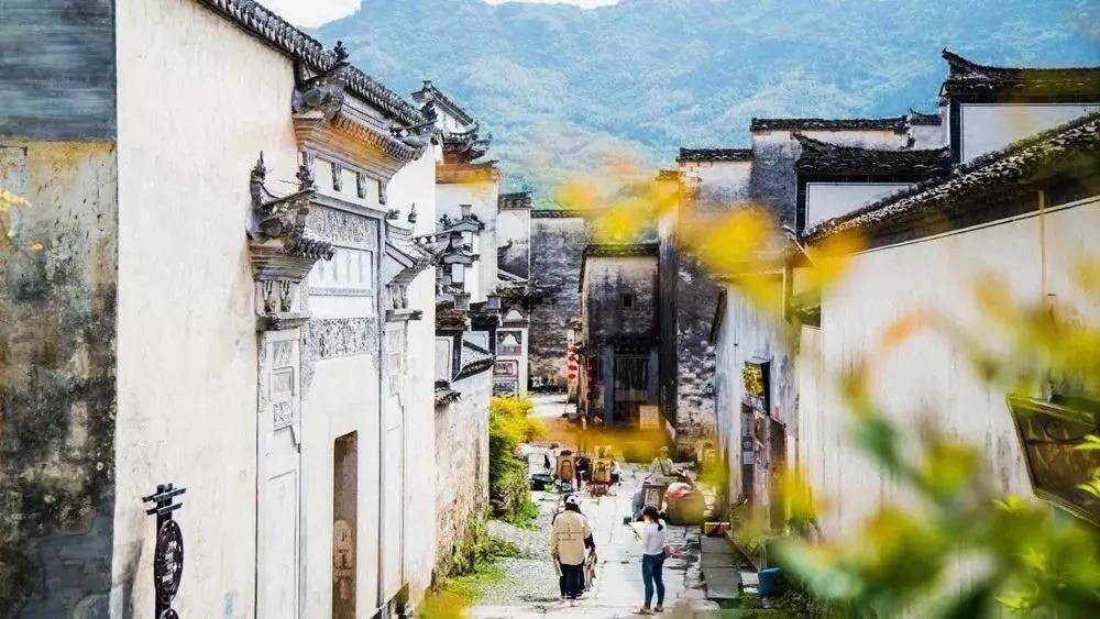 搜色吧最新，小巷中的色彩宝藏探索