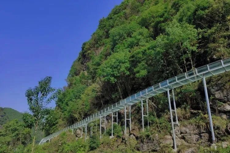 颜光美最新探索之旅，自然美景的心灵抚慰之旅