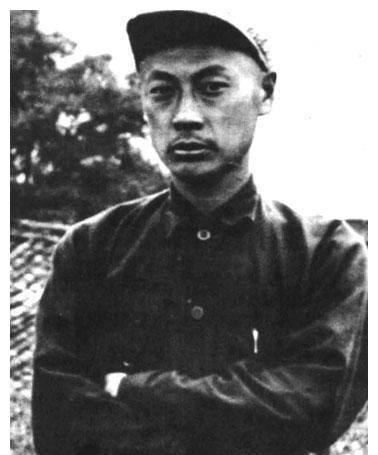 河南最新案件详述揭秘