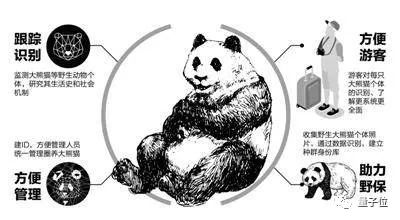 熊猫视频最新更新，高科技产品介绍专题