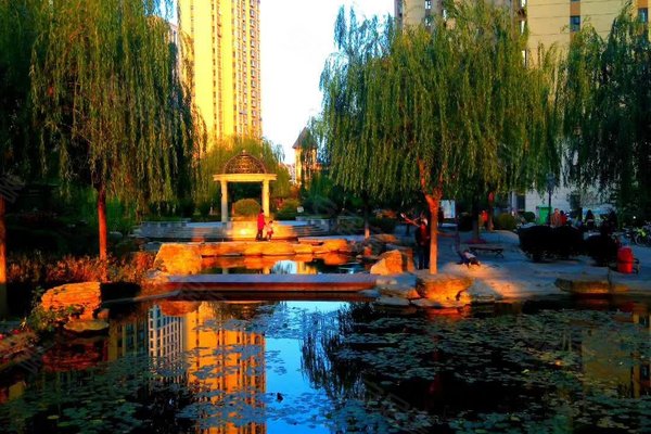 尚品清河最新探索，自然美景的轻松之旅