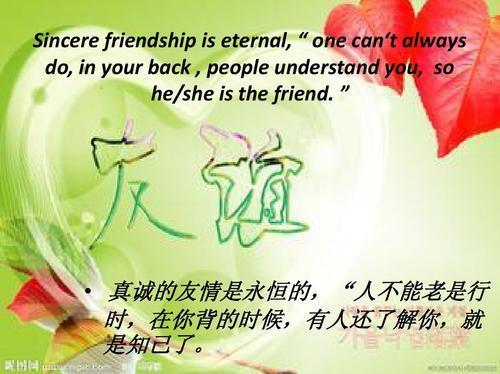 最新英语词库，友情之舟的奇妙航行探索