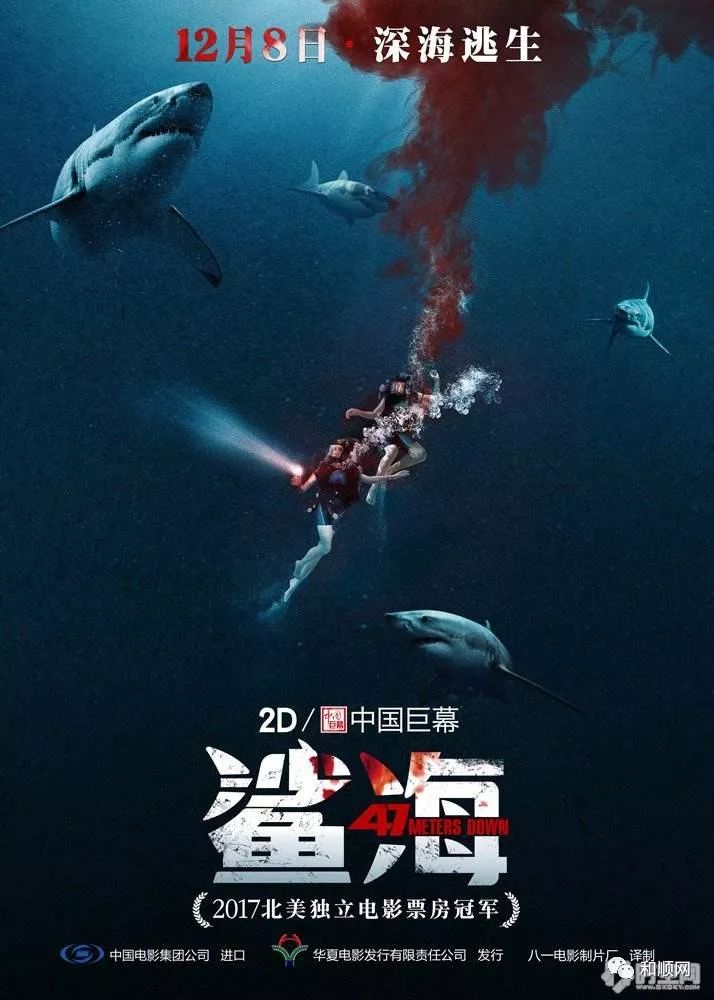 最新电影深海探索之旅，领略科技魅力，启程震撼深海探险之旅！