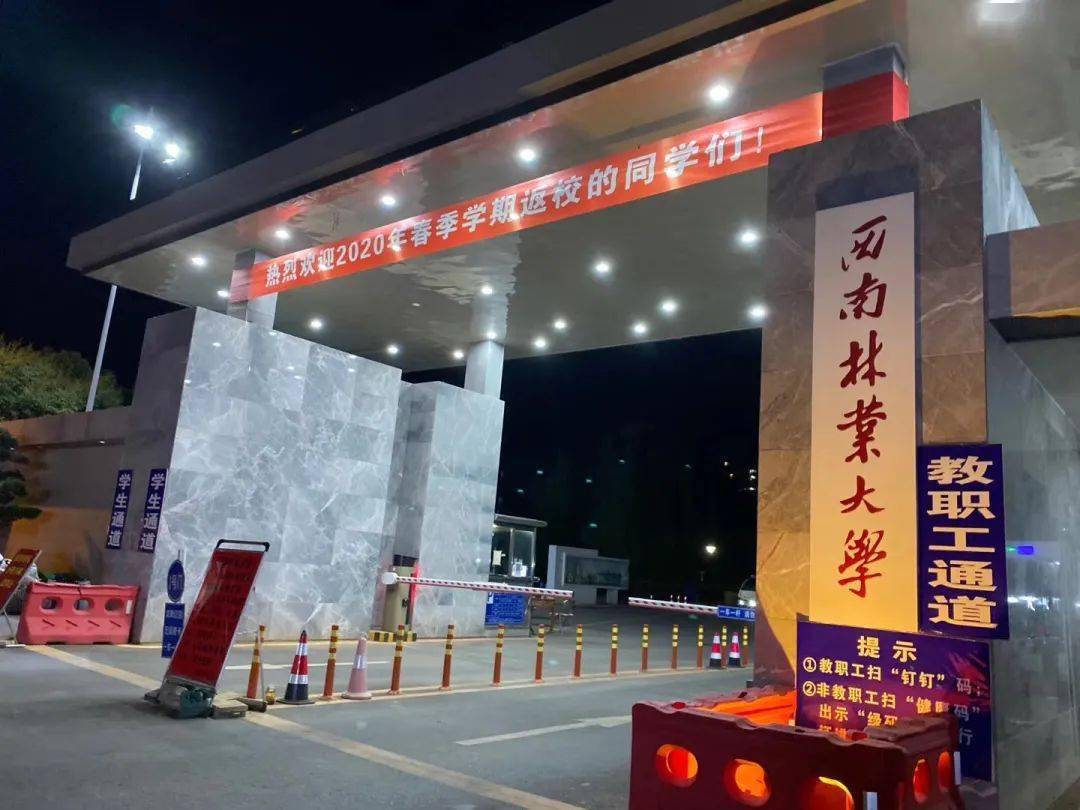 科技重塑生活，最新区域页面，未来生活触手可及