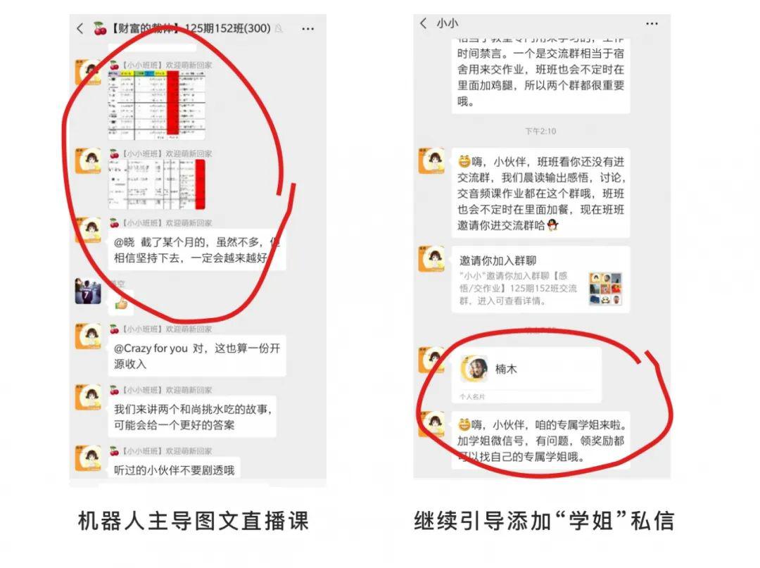 最新版TT使用指南，一步步教你完成任务与掌握技能