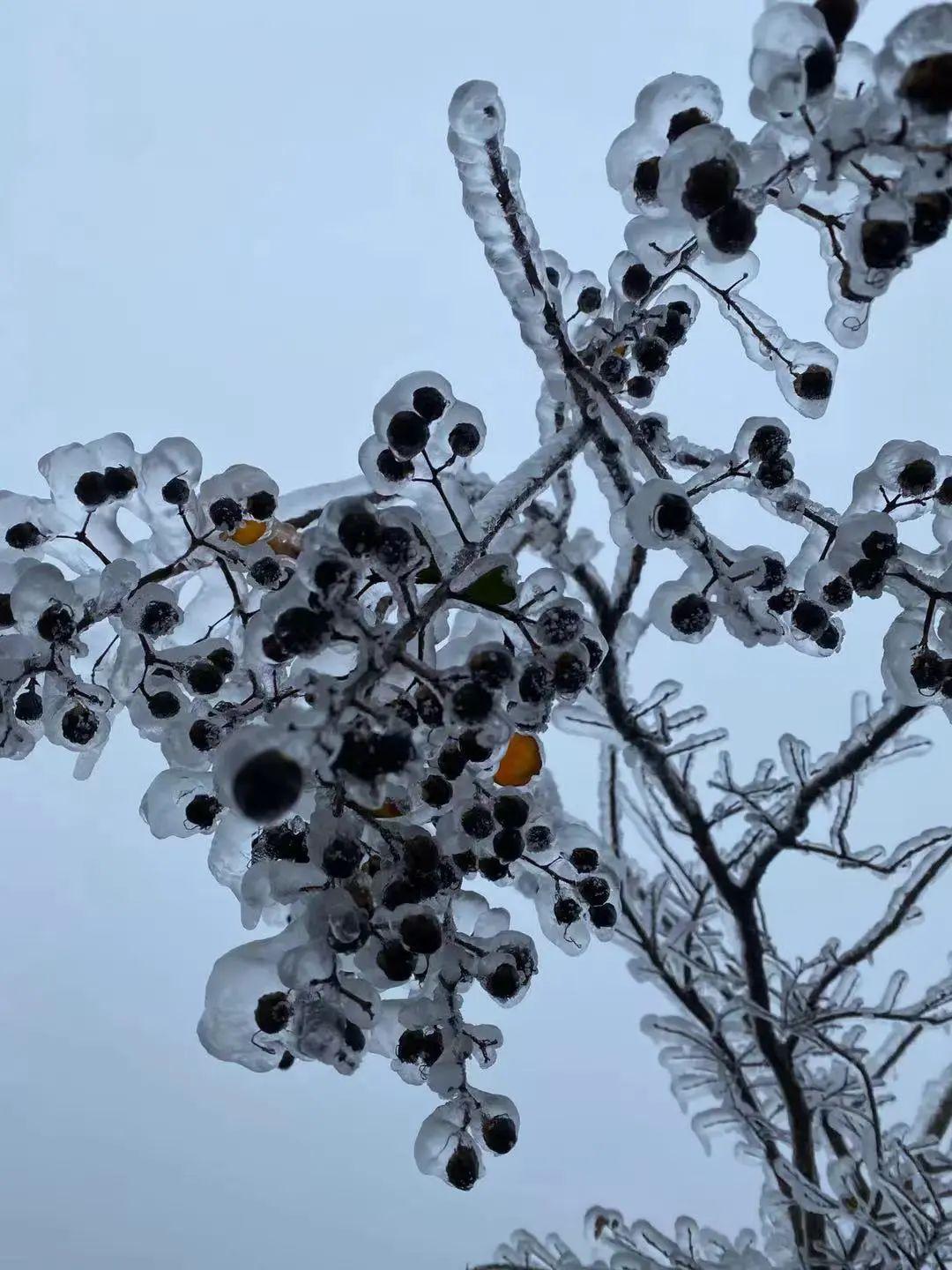探索自然美景轻松之旅